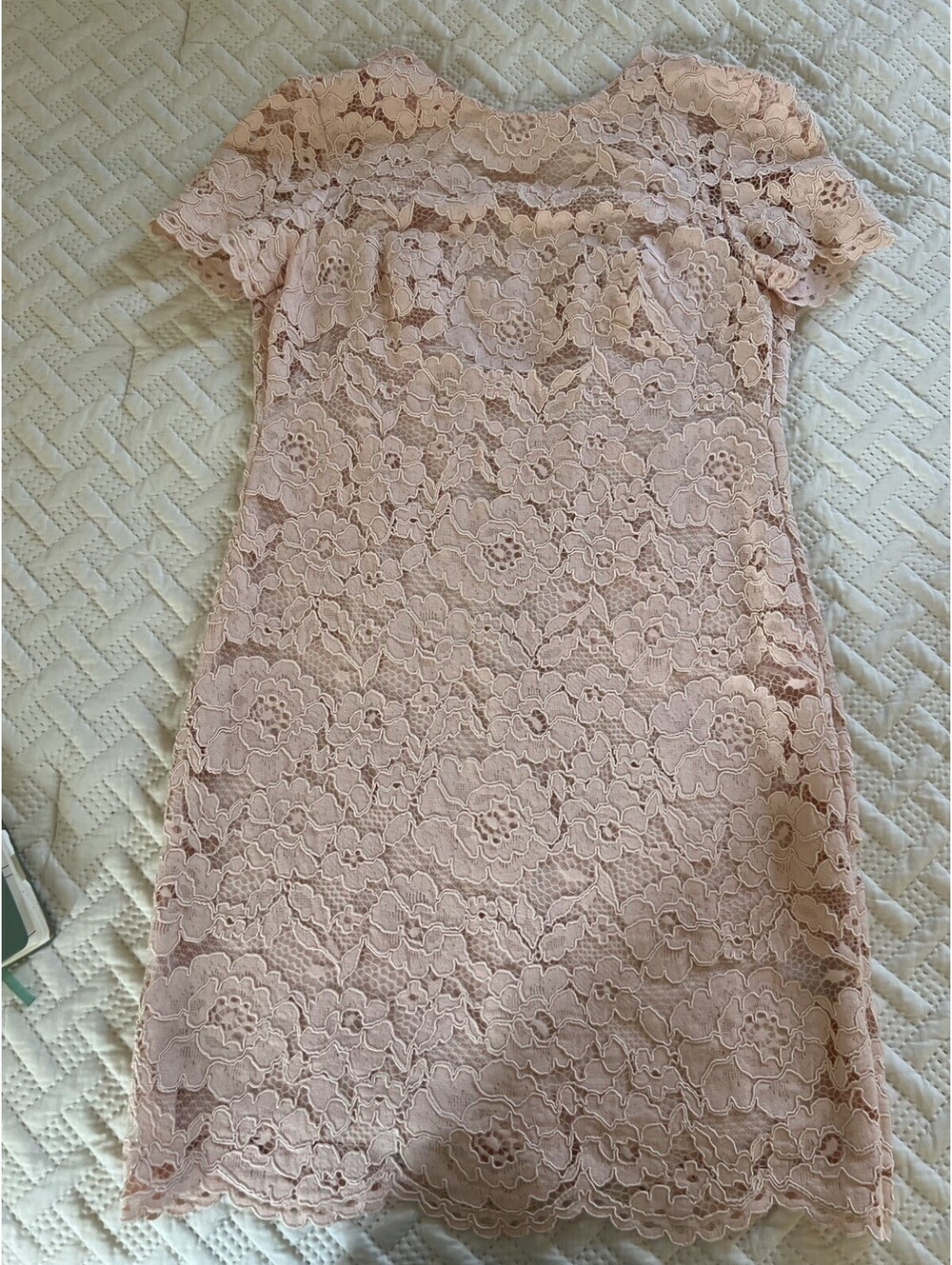 Ralph Lauren Women's Floral Lace Sheath Dress Formal Pink Opal - Size 8